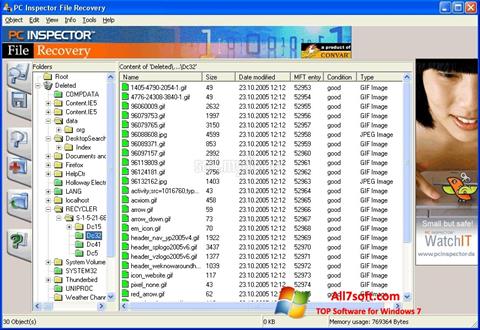 Petikan skrin PC Inspector File Recovery untuk Windows 7