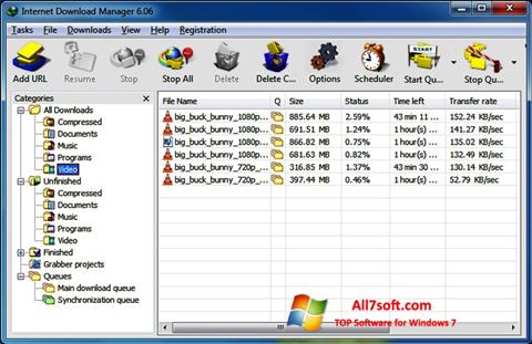 Petikan skrin Internet Download Manager untuk Windows 7